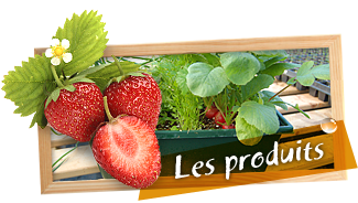 img_accueil_produits